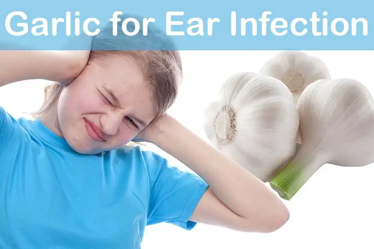 Garlic for Ear Infection
