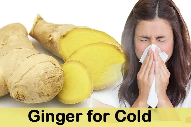 Ginger for Cold