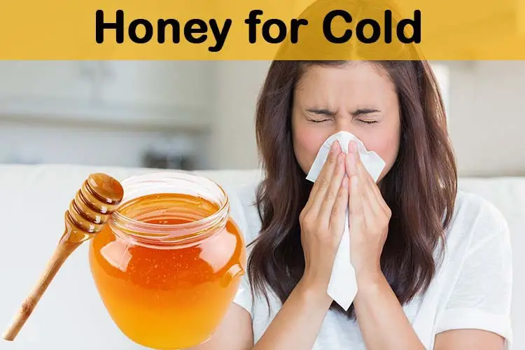 Honey for Cold