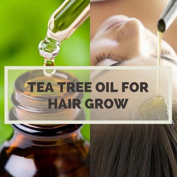 Tea Tree Oil for Hair Grow