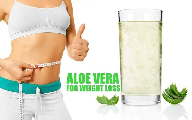 Aloe Vera for Weight Loss