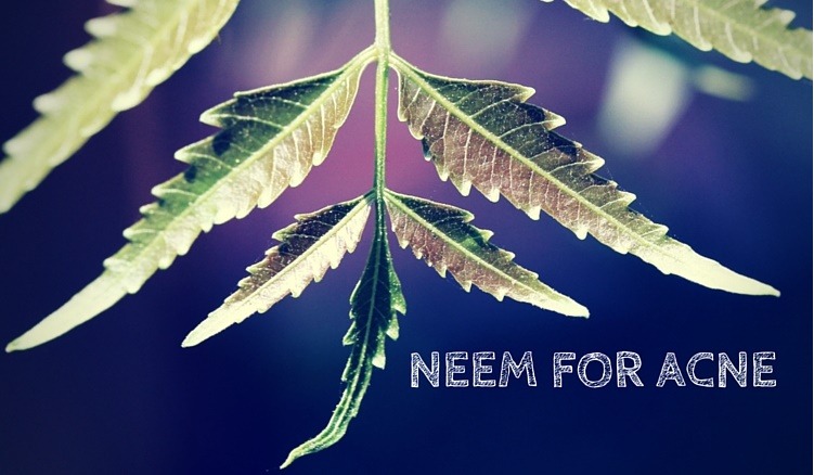 neem for acne