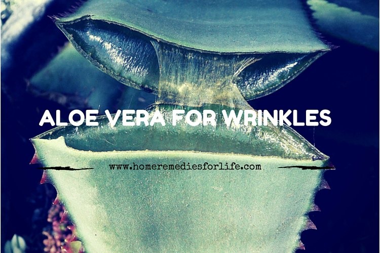 Aloe vera For Wrinkles