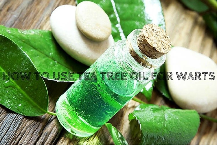 How to use tea tree oil for warts