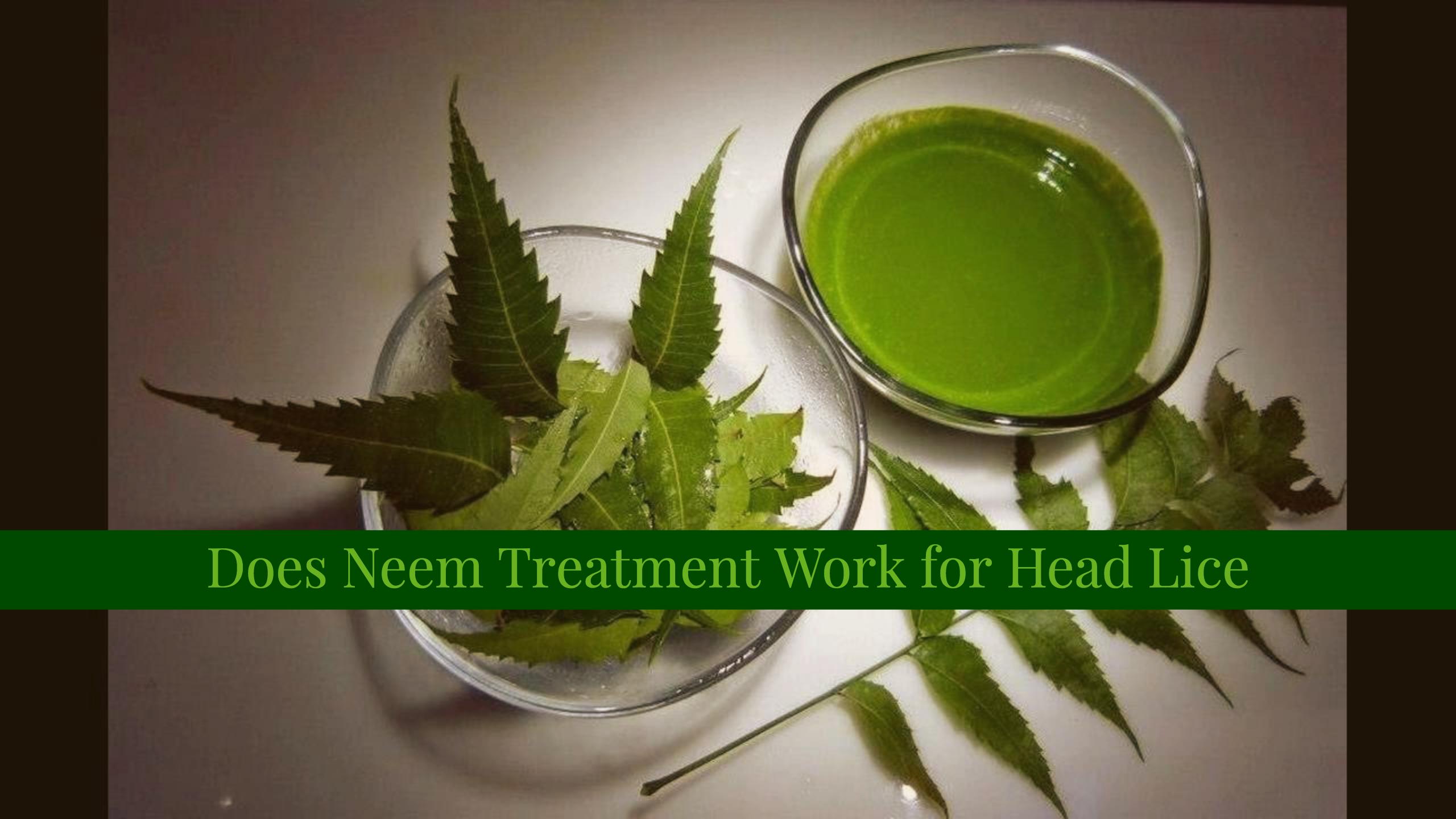 Neem For Head Lice