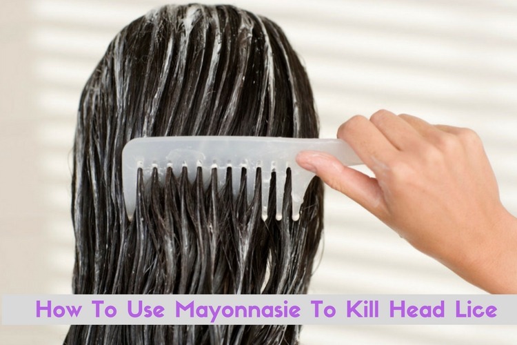 How To Use Mayonnasie To Kill Head Lice Effectively Wellness.guide