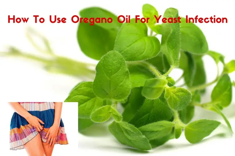 Oregano Oil For Yeast Infection