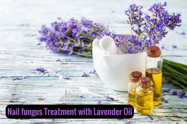 How to Use Lavender Oil for Nail Fungus