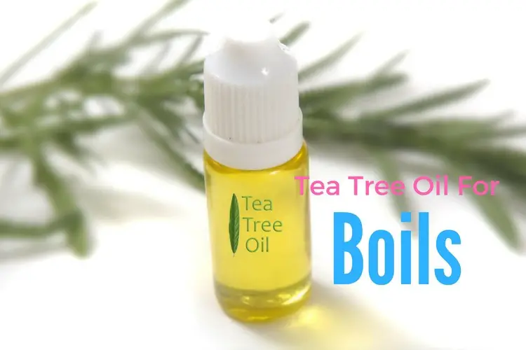 Tea Tree Oil For Boils
