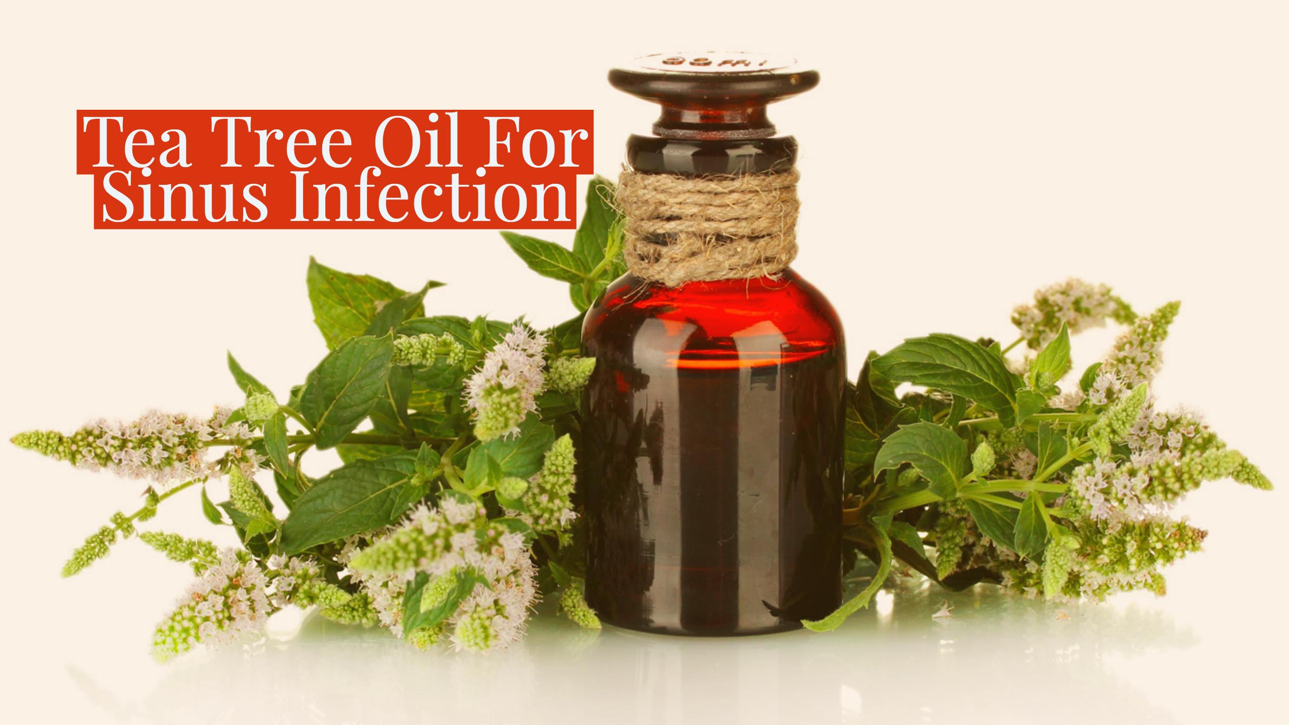 Tea Tree Oil For Sinus Infection