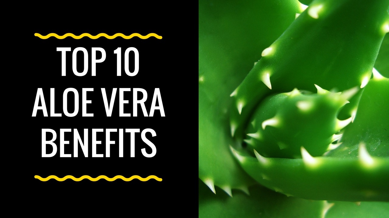 Aloe Vera Benefits