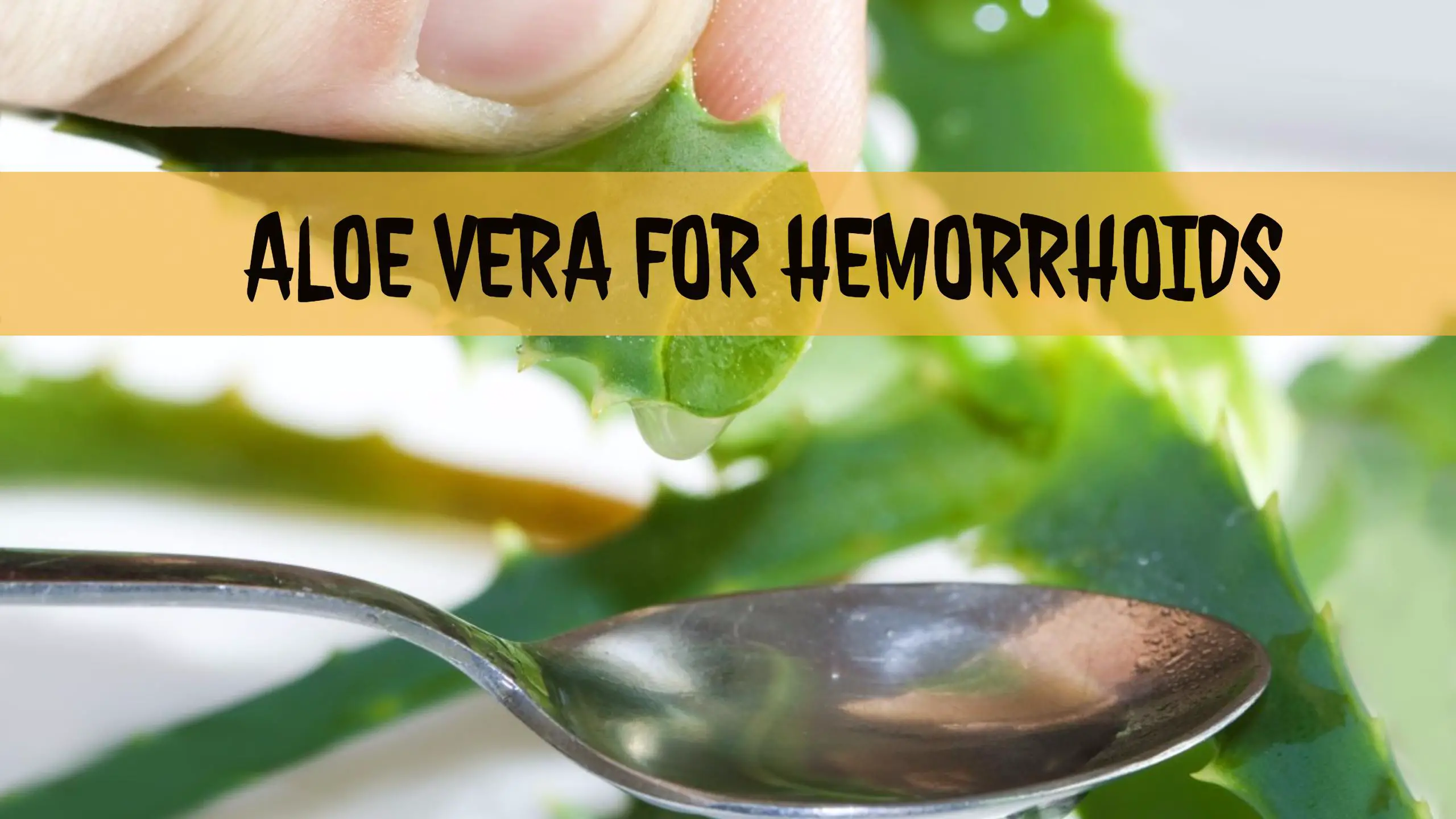 Aloe Vera For Hemorrhoids