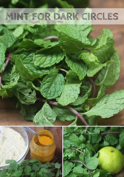 mint-leaves-for-dark-circles