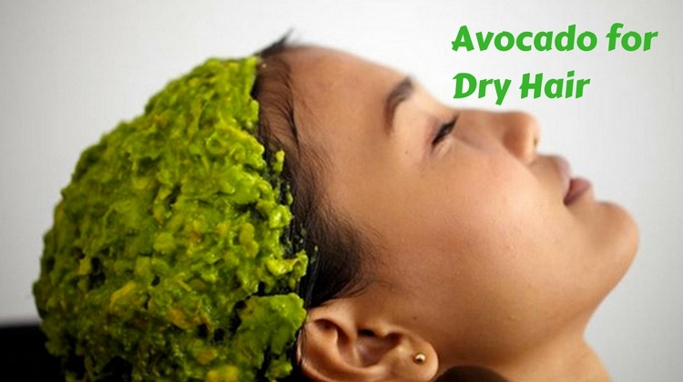 Is Avocado Useful for Dry Hair