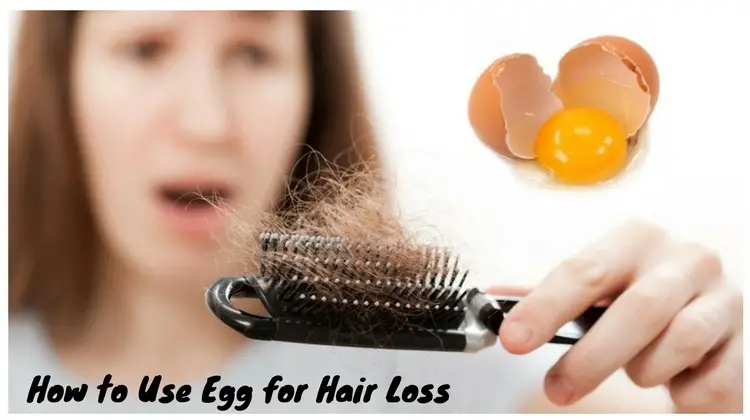12 Ways To Use Egg For Hair Loss