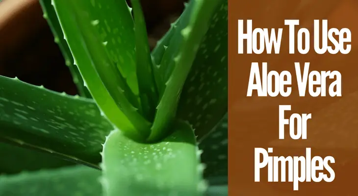How To Use Aloe Vera For Pimples(1)