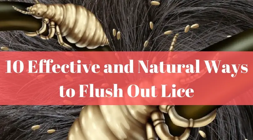 10 Effective and Natural Ways to Flush Out Lice Title