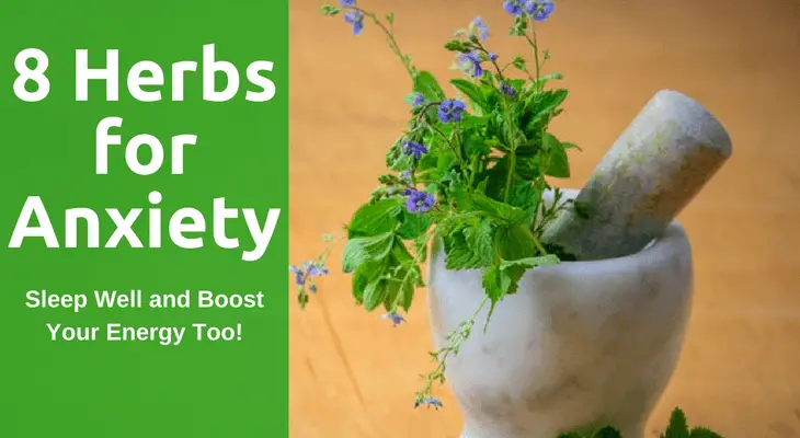 8 Herbs for Anxiety