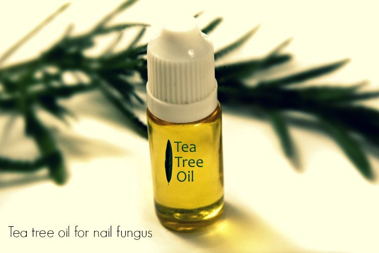 Tea Tree Oil For Nail Fungus