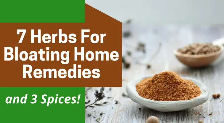 7 Herbs For Bloating Home Remedies