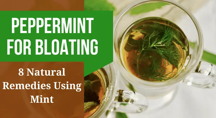 Peppermint For Bloating
