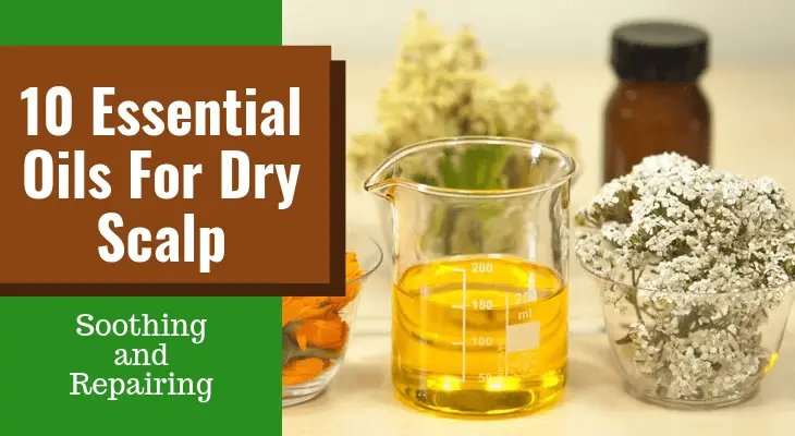 10 Essential Oils For Dry Scalp