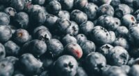 blackberries bundle