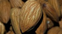 brown and beige wooden round ornament